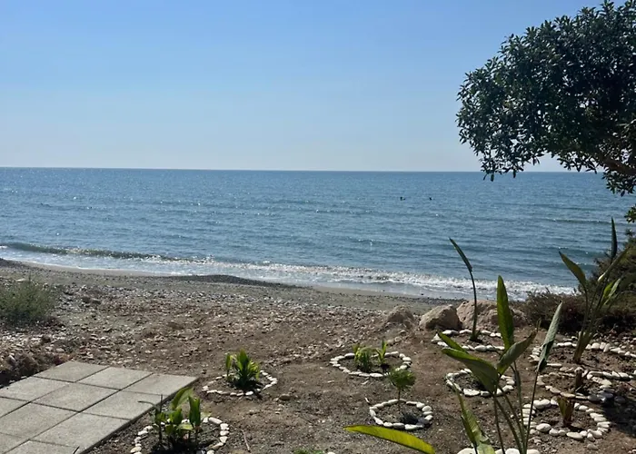 Leonidas Seaside