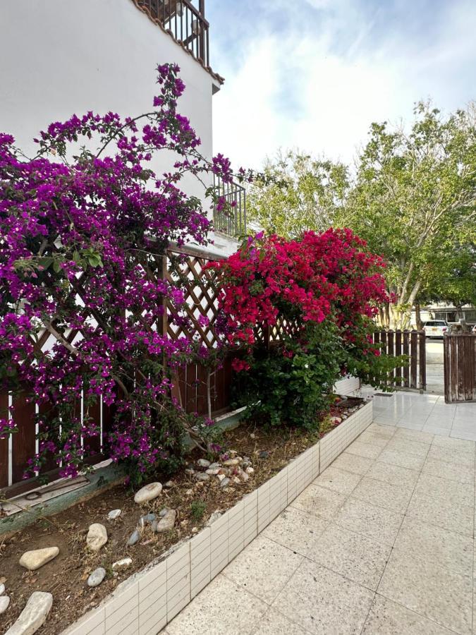 Leonidas Seaside Villa *